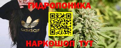 стафф Канаш