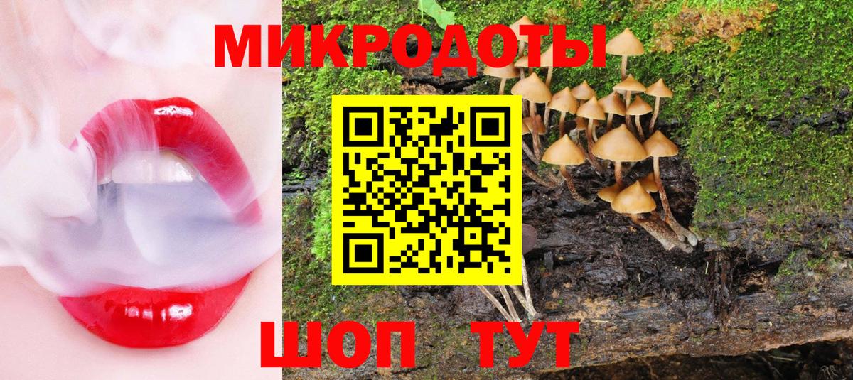 Псилоцибиновые грибы мицелий Еманжелинск
