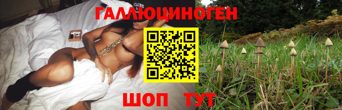 Галлюциногенные грибы GOLDEN TEACHER  Псилоцибиновые грибы прущие грибы  Вход с VPN  Еманжелинск 
